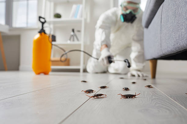 Trusted Termite Control service in St. Marys, PA - Nex Pest Control